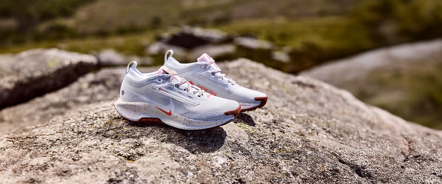 Nike Womens Pegasus Trail 5 GORE-TEX - Pure Platinum/White
