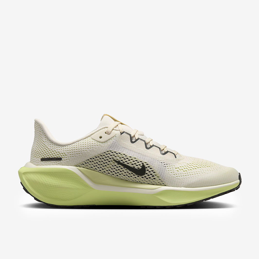 Nike Older Kids Pegasus 41 (GS)