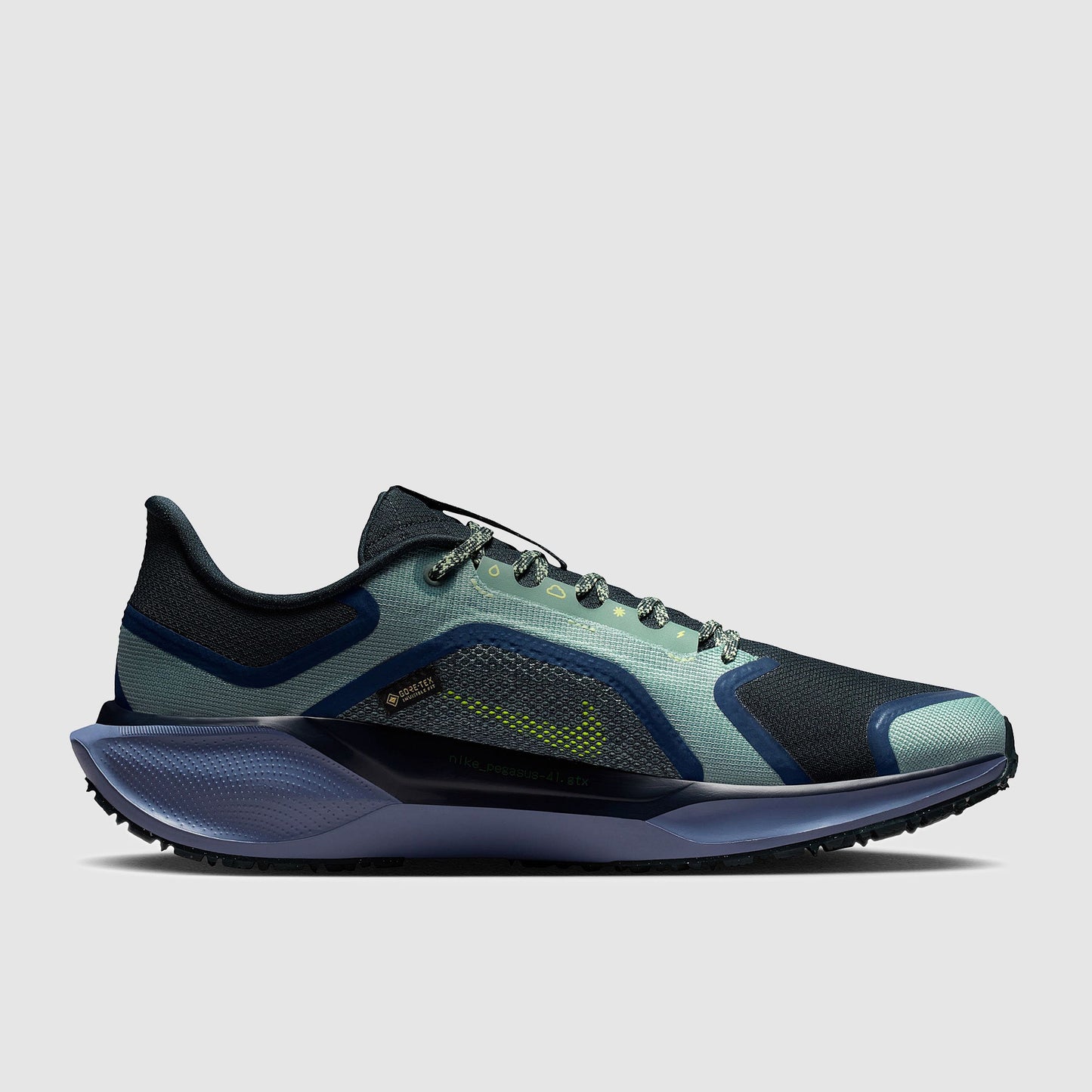 Nike Air Zoom Pegasus 41 GORE-TEX
