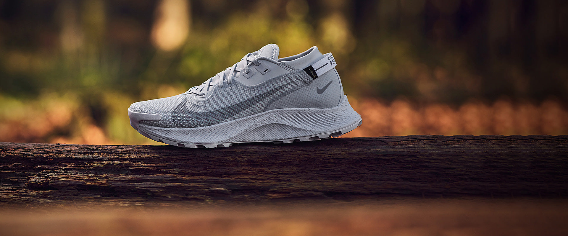 Nike Pegasus Trail 2 GORE-TEX