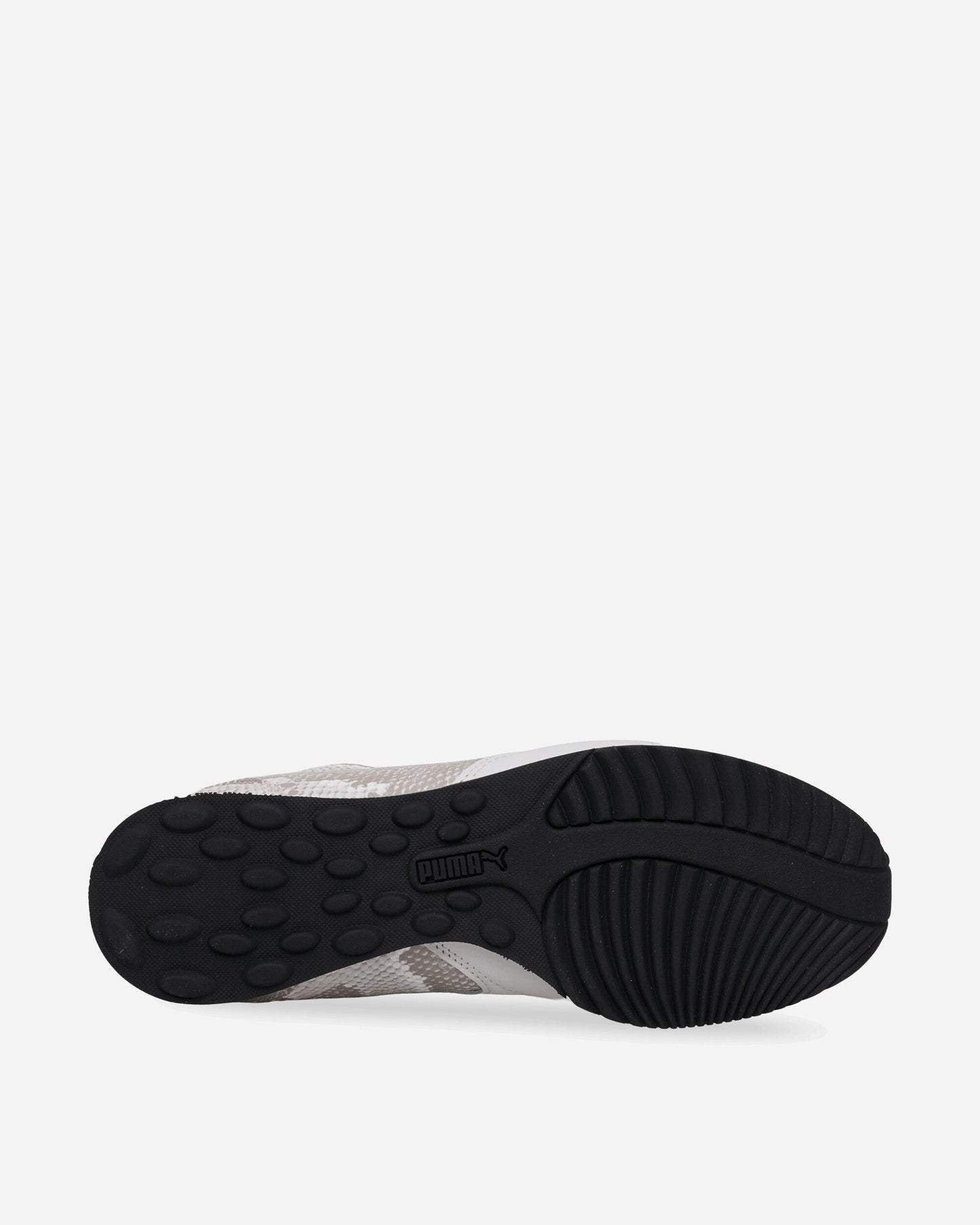 Sprint Snake Sneakers Vapor Gray / Feather Gray